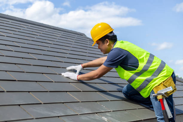 Best Asphalt Shingle Roofing  in Genola, UT