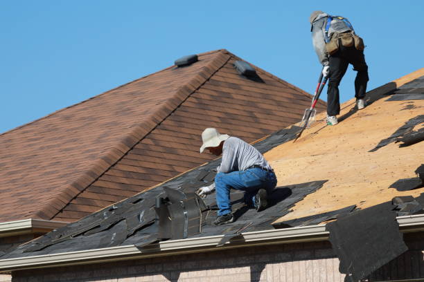 Best Roof Replacement  in Genola, UT