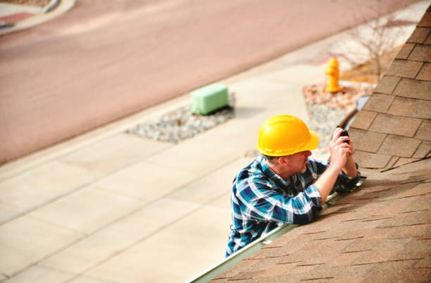 Best Roof Moss and Algae Removal  in Genola, UT