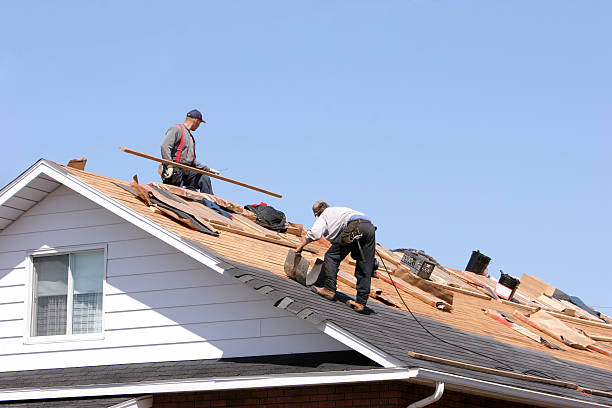 Best Gutter Installation and Repair  in Genola, UT